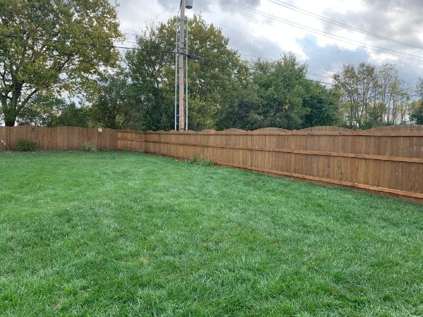 Fence staining professionals